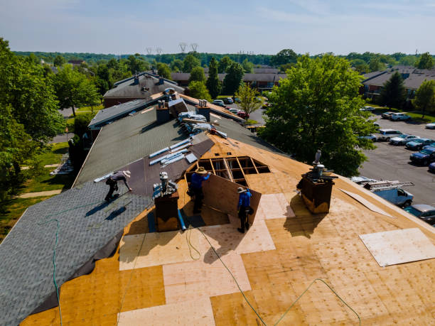 24/7 Emergency Metal Roofing experts in Dallardsville, TX
